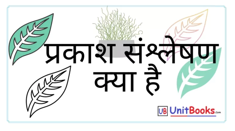 प्रकाश संश्लेषण किसे कहते है | Photosynthesis in hindi