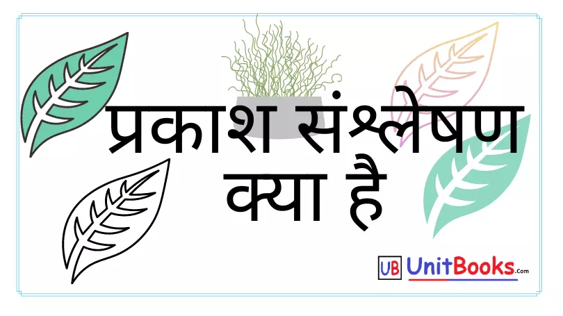 Photosynthesis in hindi